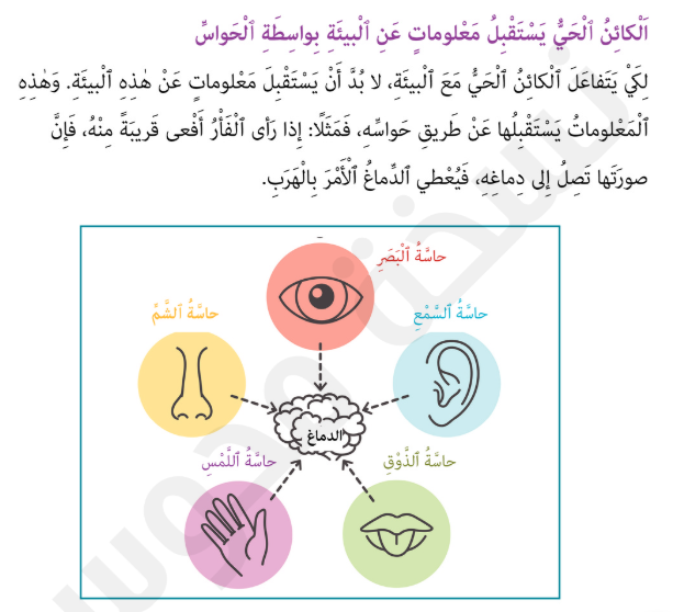 الاتصال by layan - Ourboox.com