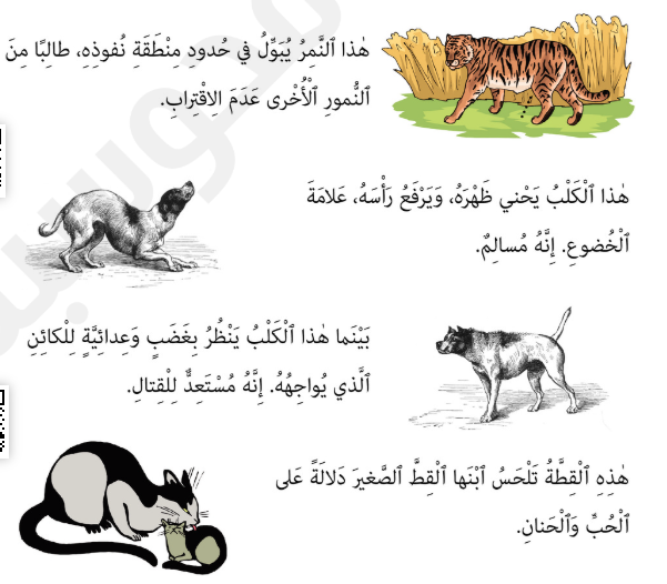 الاتصال by layan - Ourboox.com