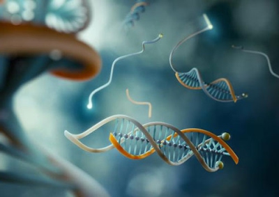 Нанотехнології в біології by Julia - Ourboox.com