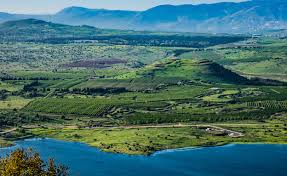 רמת הגולן by rinat berkovich - Ourboox.com