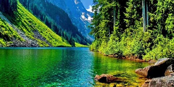 الطبيعه by amer taha - Illustrated by امير طه - Ourboox.com