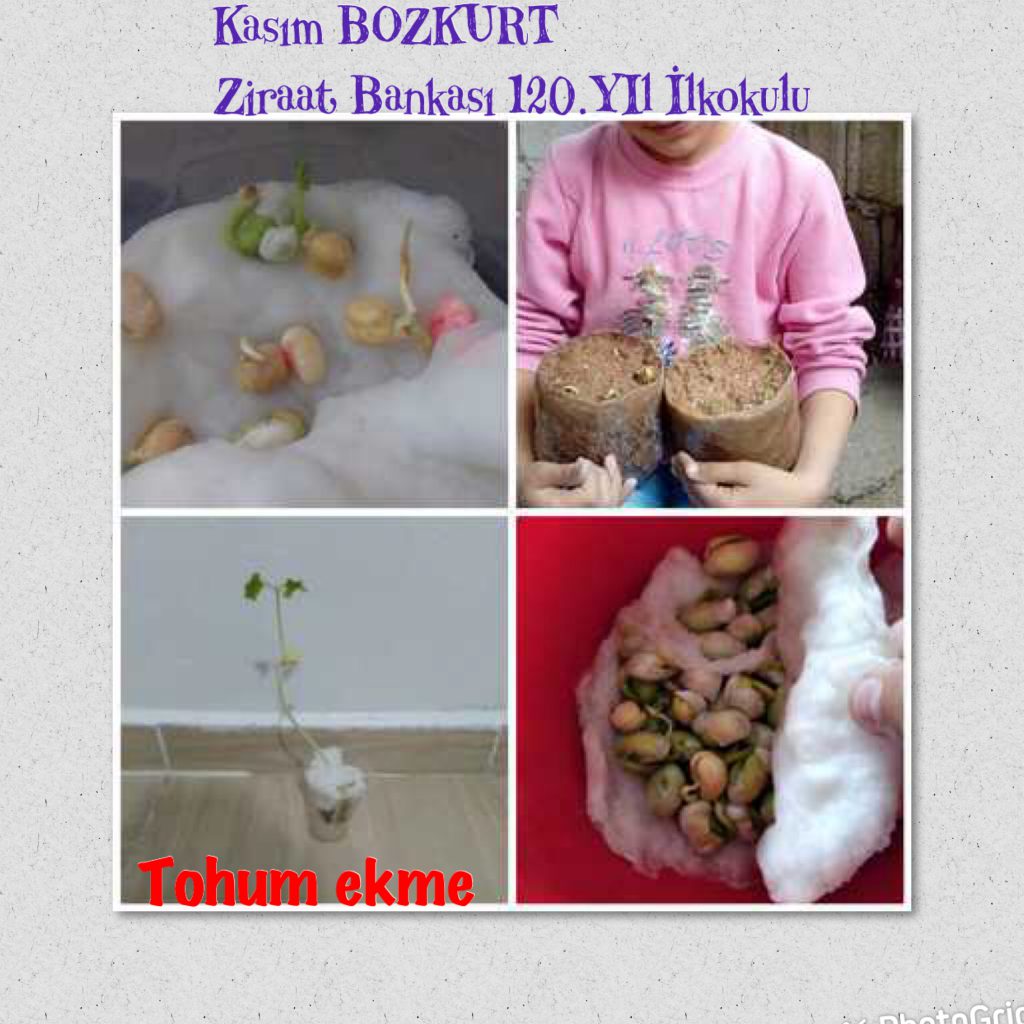 BİRLİKTE VARIZ- MART AYI ETKİNLİKLERİMİZ by MERVE NUR YAYLA - Illustrated by Merve Nur YAYLA - Ourboox.com