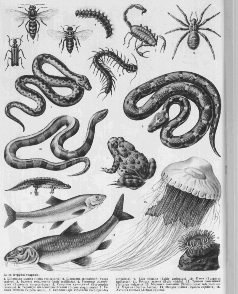 Біологічні небезпеки by Enola - Ourboox.com