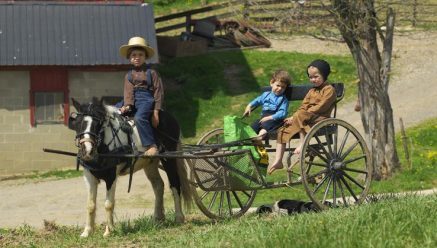 the amish by teh - Ourboox.com