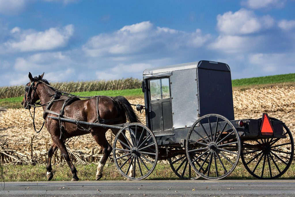 the amish by teh - Ourboox.com