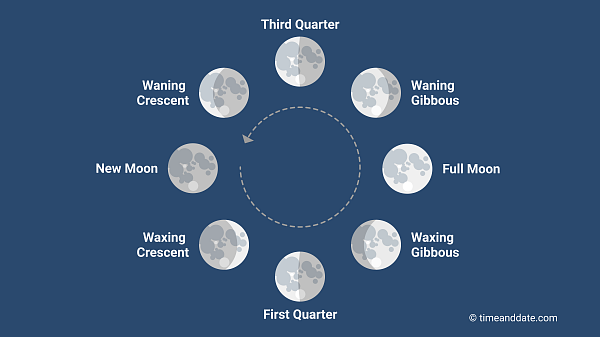 THE PHASES OF THE MOON by Luca - Ourboox.com