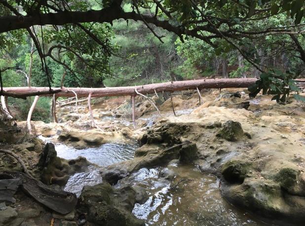 My Time in Quarantine by tamar relevi - Ourboox.com