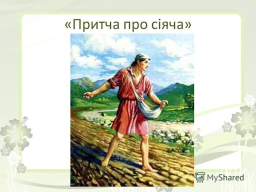 Читання влітку by Elena - Ourboox.com