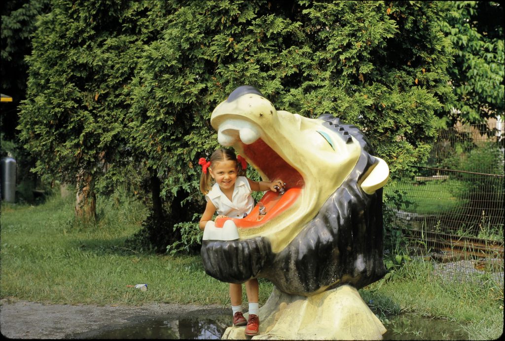 OUR LIFE by Frank A. Wojciechowski - Ourboox.com