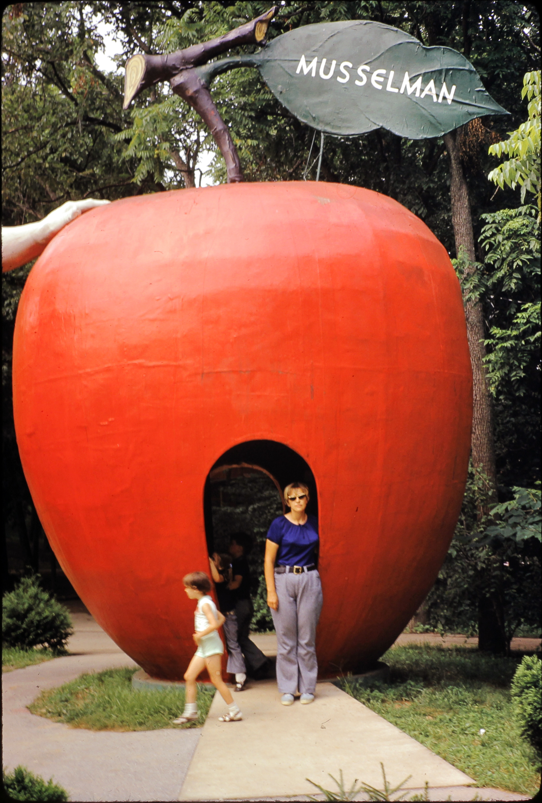 OUR LIFE by Frank A. Wojciechowski - Ourboox.com