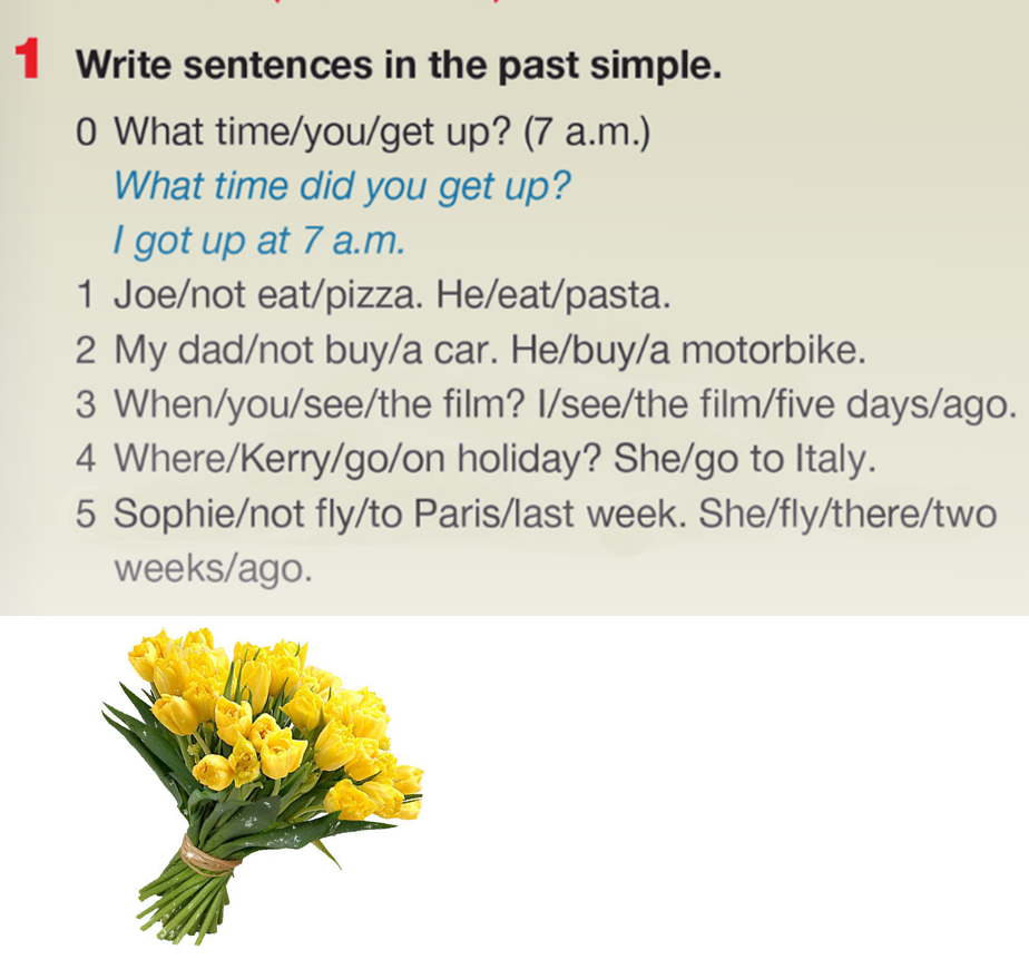 Language revision Unit 9 – 5 grade by Svetlana Lesinska - Ourboox.com