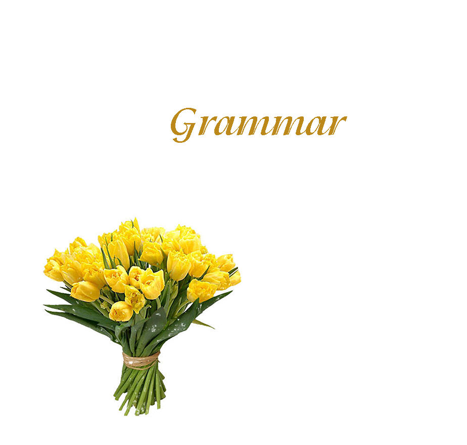 Language revision Unit 9 – 5 grade by Svetlana Lesinska - Ourboox.com