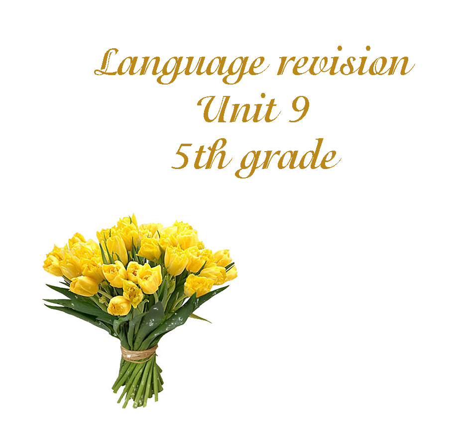 Language revision Unit 9 – 5 grade by Svetlana Lesinska - Ourboox.com