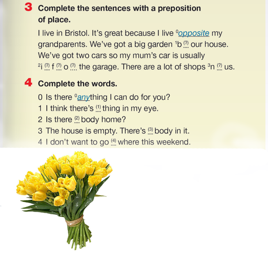 Language revision Unit 9 – 5 grade by Svetlana Lesinska - Ourboox.com