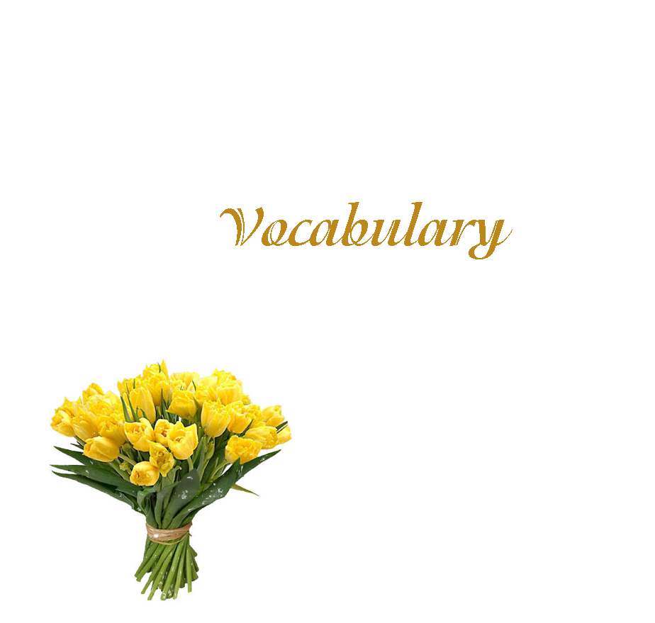 Language revision Unit 9 – 5 grade by Svetlana Lesinska - Ourboox.com