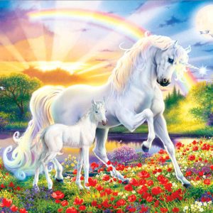 חדי קרן בראשון לציון- אלה ואליה אלמליח ד2 by neveoz - Ourboox.com