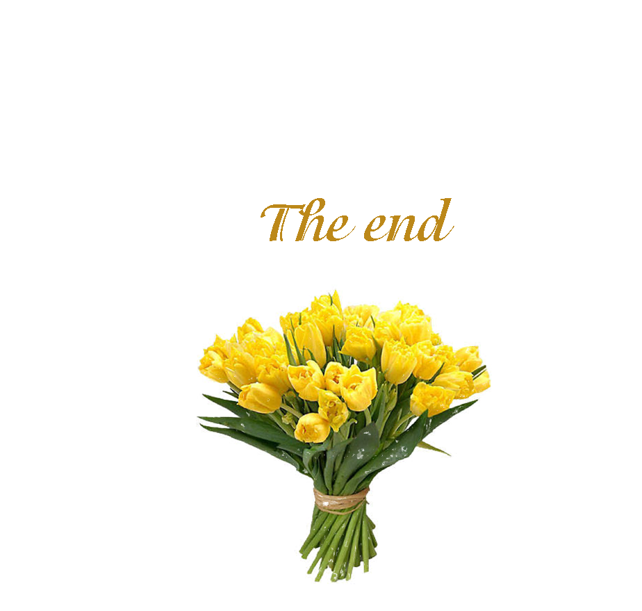 Language revision Unit 9 – 5 grade by Svetlana Lesinska - Ourboox.com