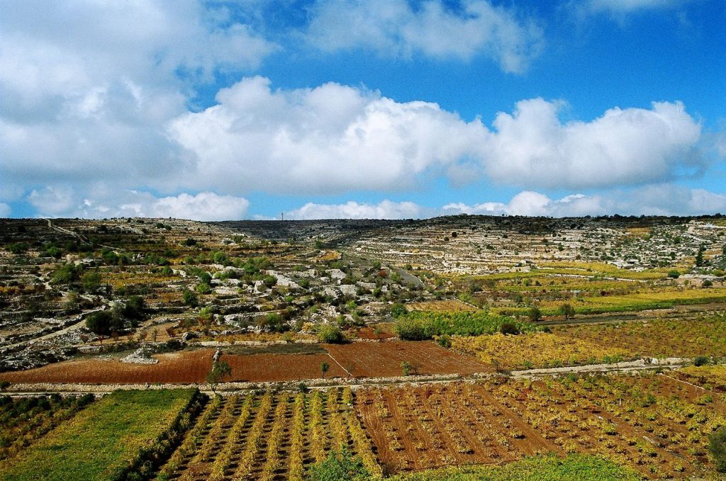 טיול לגוש עציון by sapir levi - Illustrated by ספיר לוי, עדן מסיקה, רז אנטבי וסיגל גבאי. - Ourboox.com
