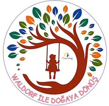 WALDORF İLE DOĞAYA DÖNÜŞ PROJESİ by MERVE NUR YAYLA - Illustrated by Merve Nur YAYLA - Ourboox.com