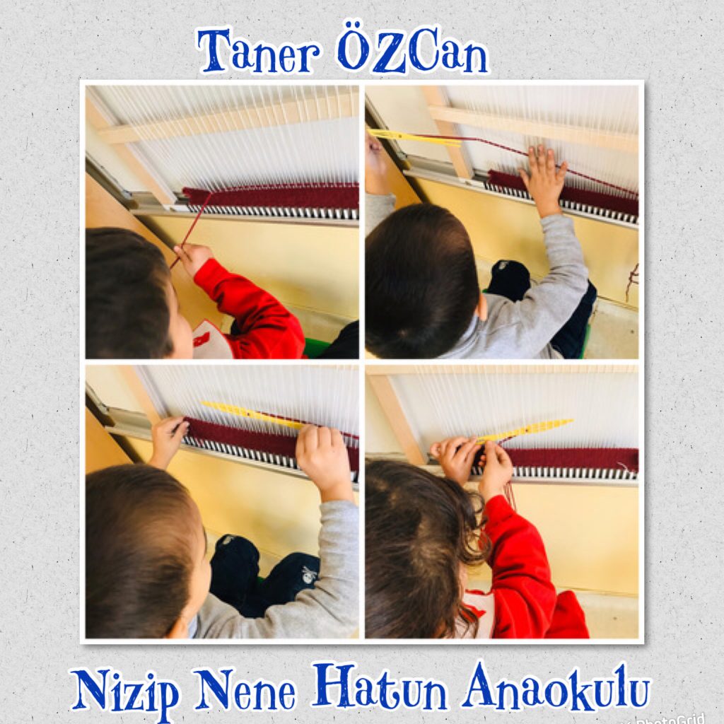 WALDORF İLE DOĞAYA DÖNÜŞ PROJESİ by MERVE NUR YAYLA - Illustrated by Merve Nur YAYLA - Ourboox.com