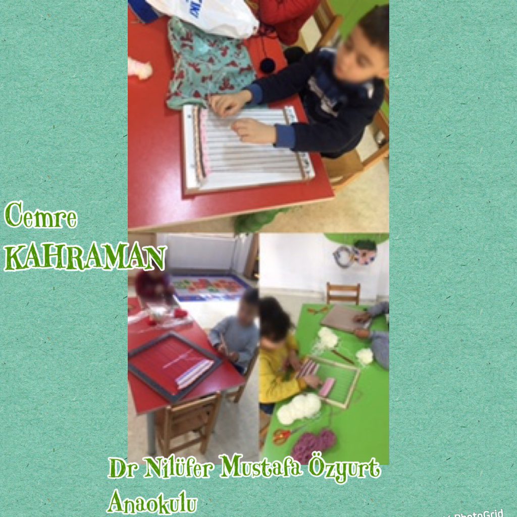 WALDORF İLE DOĞAYA DÖNÜŞ PROJESİ by MERVE NUR YAYLA - Illustrated by Merve Nur YAYLA - Ourboox.com