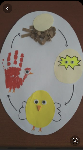 prova1 by salvatore - Ourboox.com