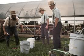 The Amish Spacial lifestyle by hallelp - Ourboox.com