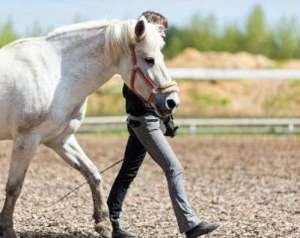 Володимир Дрозд «Білий кінь Шептало» by Natalija Tolmach - Ourboox.com