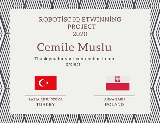 Robotics IQ by cemile muslu - Ourboox.com