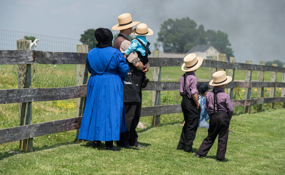 The Amish by liron eliyahu - Illustrated by Liron Eliyahu, Talia shukrun,Liel David - Ourboox.com