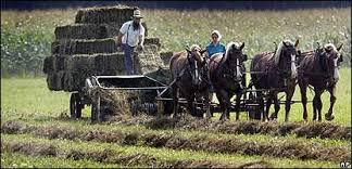 a special way of life… the story of the Amish people! by yael - Ourboox.com