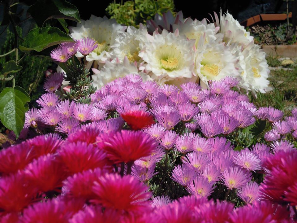 Storia by Lucia Cappelletti - Ourboox.com