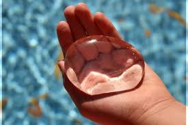 Проблеми чистої води by Kate Lesyuk - Ourboox.com