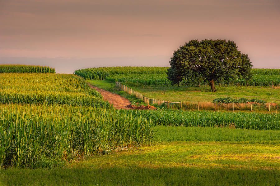 The Amish life style by erel abecasiss - Illustrated by erel and ela - Ourboox.com