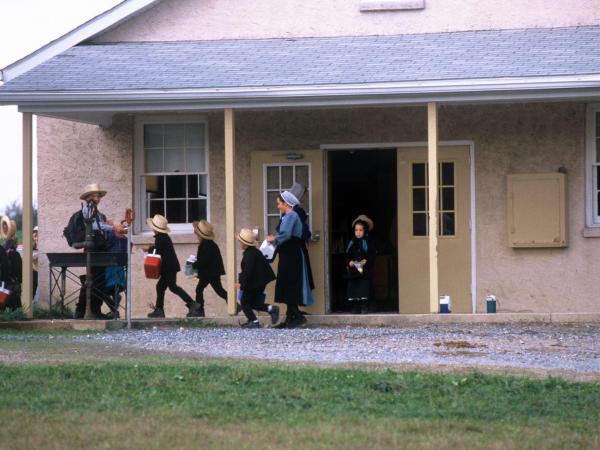 The Amish by Avigayil zero - Ourboox.com