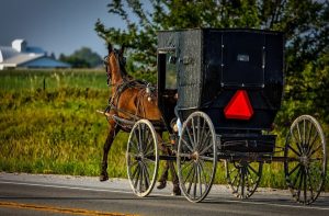 The Amish by liron eliyahu - Illustrated by Liron Eliyahu, Talia shukrun,Liel David - Ourboox.com