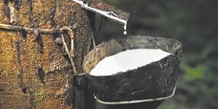 CORONAVIRUS by Thomas - Ourboox.com