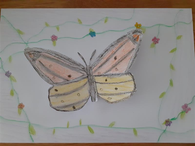 Dan leptira by Mersiha - Illustrated by RAZRED - V3 - Ourboox.com