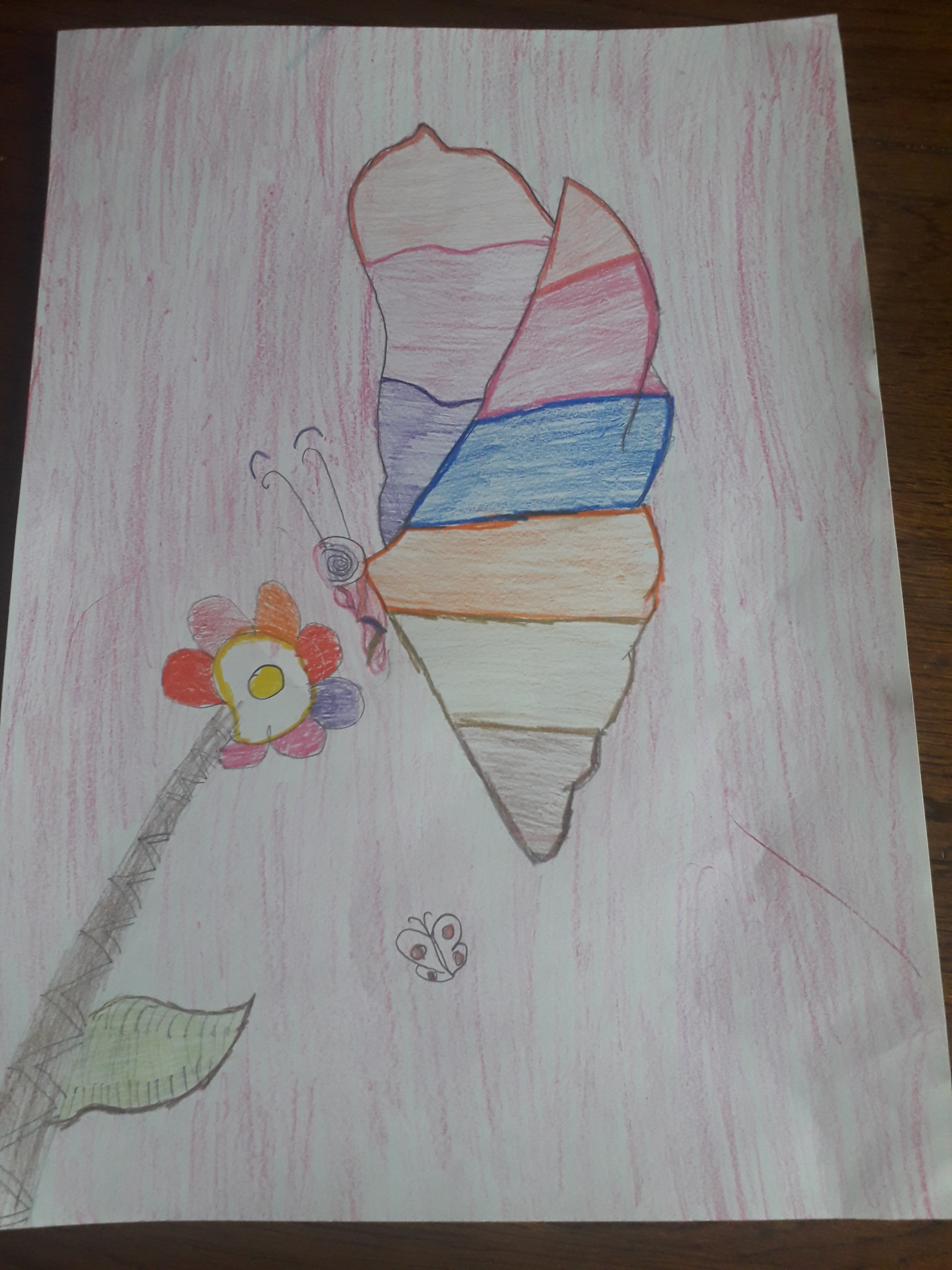 Dan leptira by Mersiha - Illustrated by RAZRED - V3 - Ourboox.com