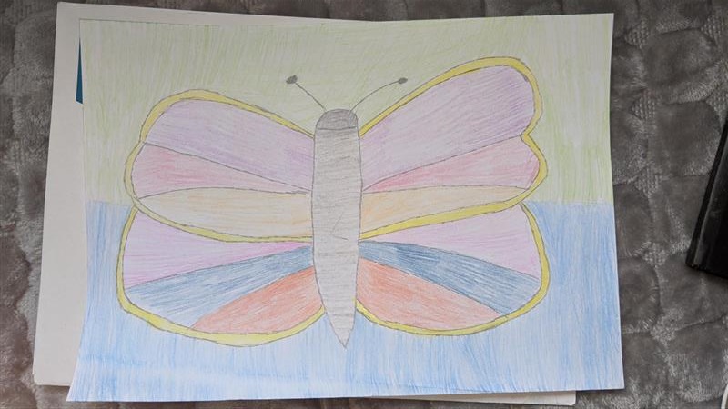 Dan leptira by Mersiha - Illustrated by RAZRED - V3 - Ourboox.com