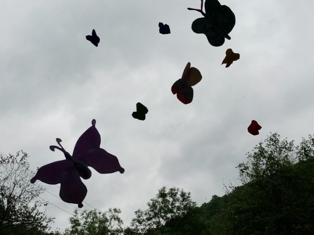 Dan leptira by Mersiha - Illustrated by RAZRED - V3 - Ourboox.com