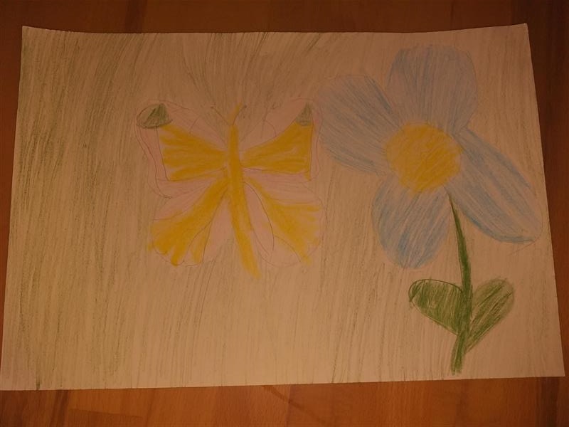 Dan leptira by Mersiha - Illustrated by RAZRED - V3 - Ourboox.com