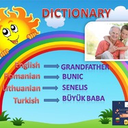 ACT_eDictionary by Buduleanu Alina Marilena - Illustrated by ACT project team - Ourboox.com