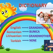 ACT_eDictionary by Buduleanu Alina Marilena - Illustrated by ACT project team - Ourboox.com