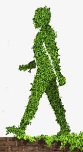 Без рослин не було б життя на нашій планеті by захар  - Ourboox.com