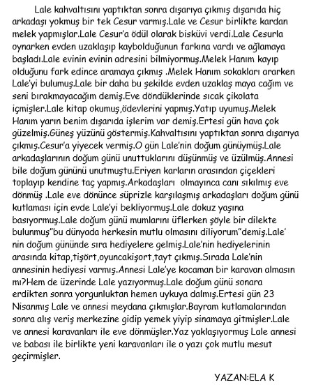 Minik Yazarlardan Hikayeler by Adem KÜSİN - Ourboox.com