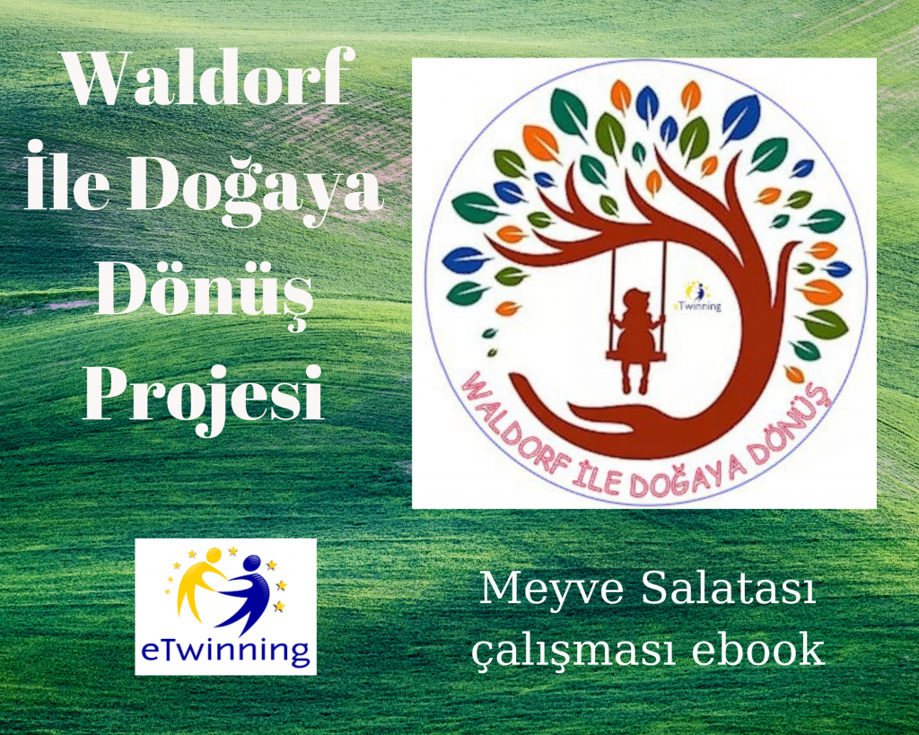 Waldorf ile doğaya dönüş projesi meyve salatası çalışması e book by sait aslan - Ourboox.com