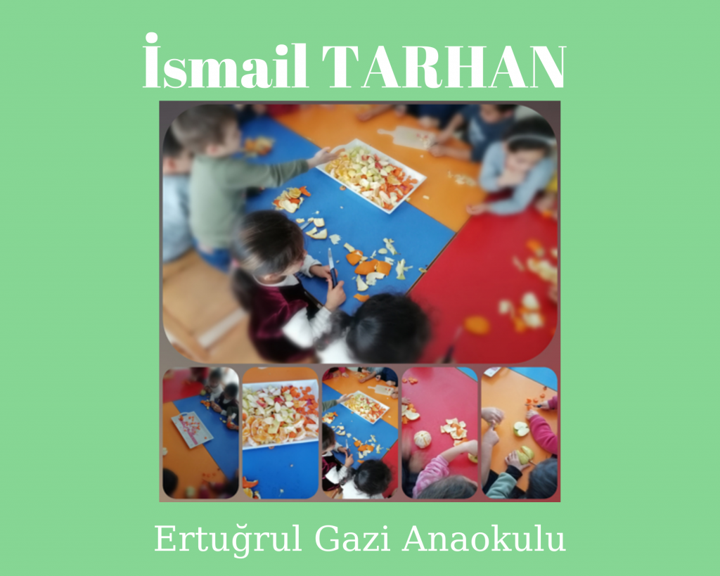 Waldorf ile doğaya dönüş projesi meyve salatası çalışması e book by sait aslan - Ourboox.com