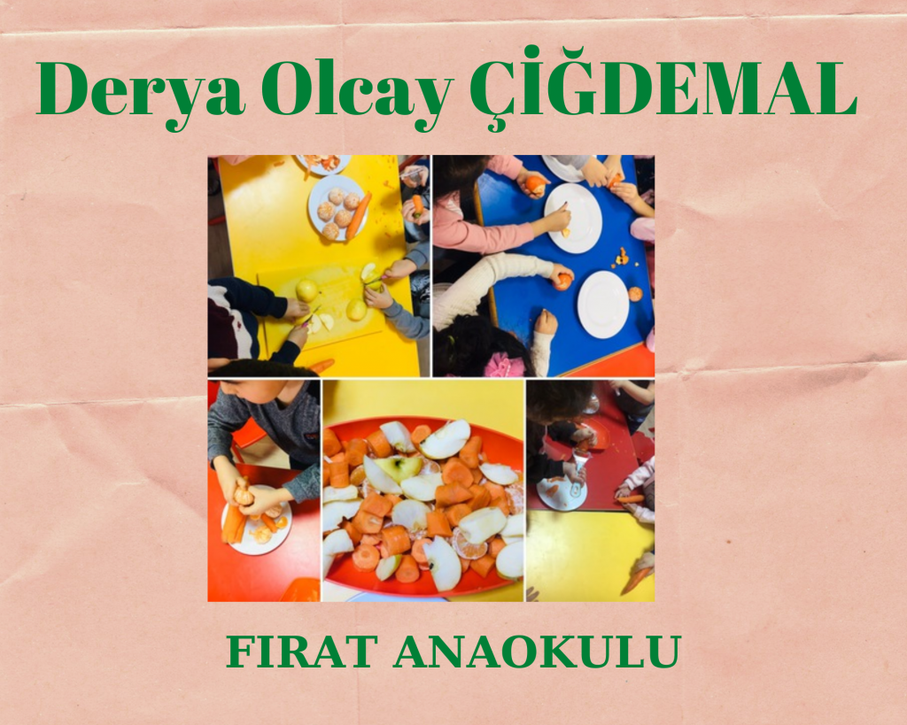 Waldorf ile doğaya dönüş projesi meyve salatası çalışması e book by sait aslan - Ourboox.com