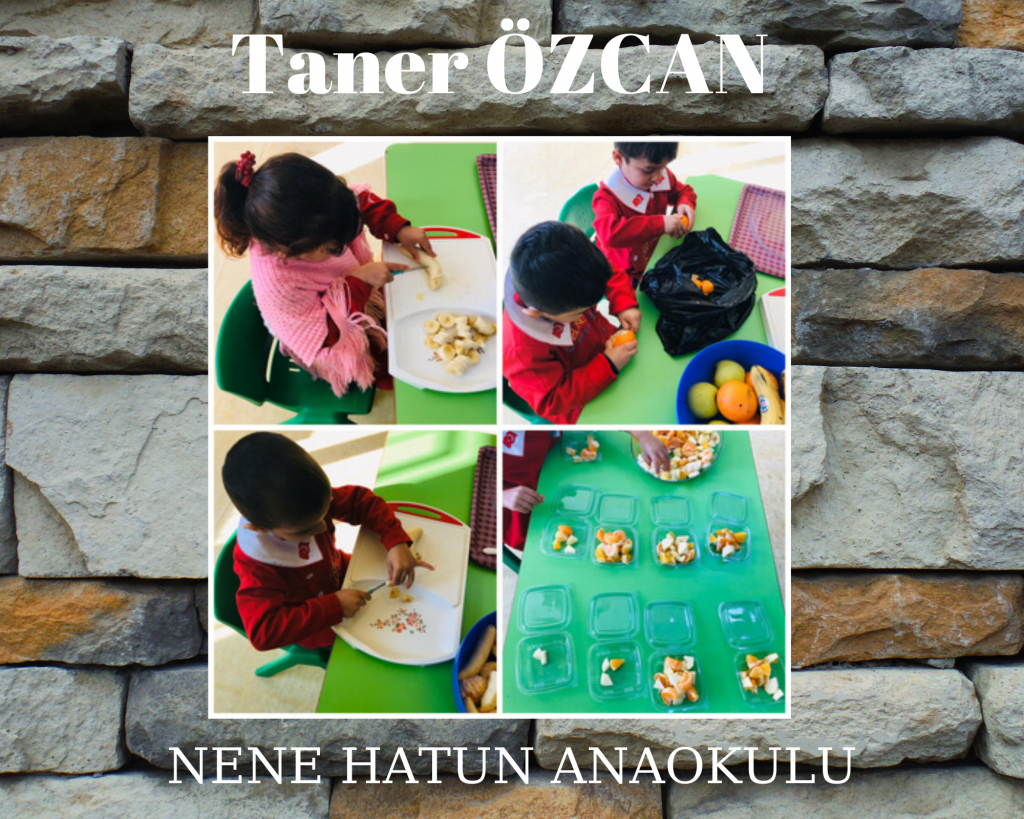 Waldorf ile doğaya dönüş projesi meyve salatası çalışması e book by sait aslan - Ourboox.com